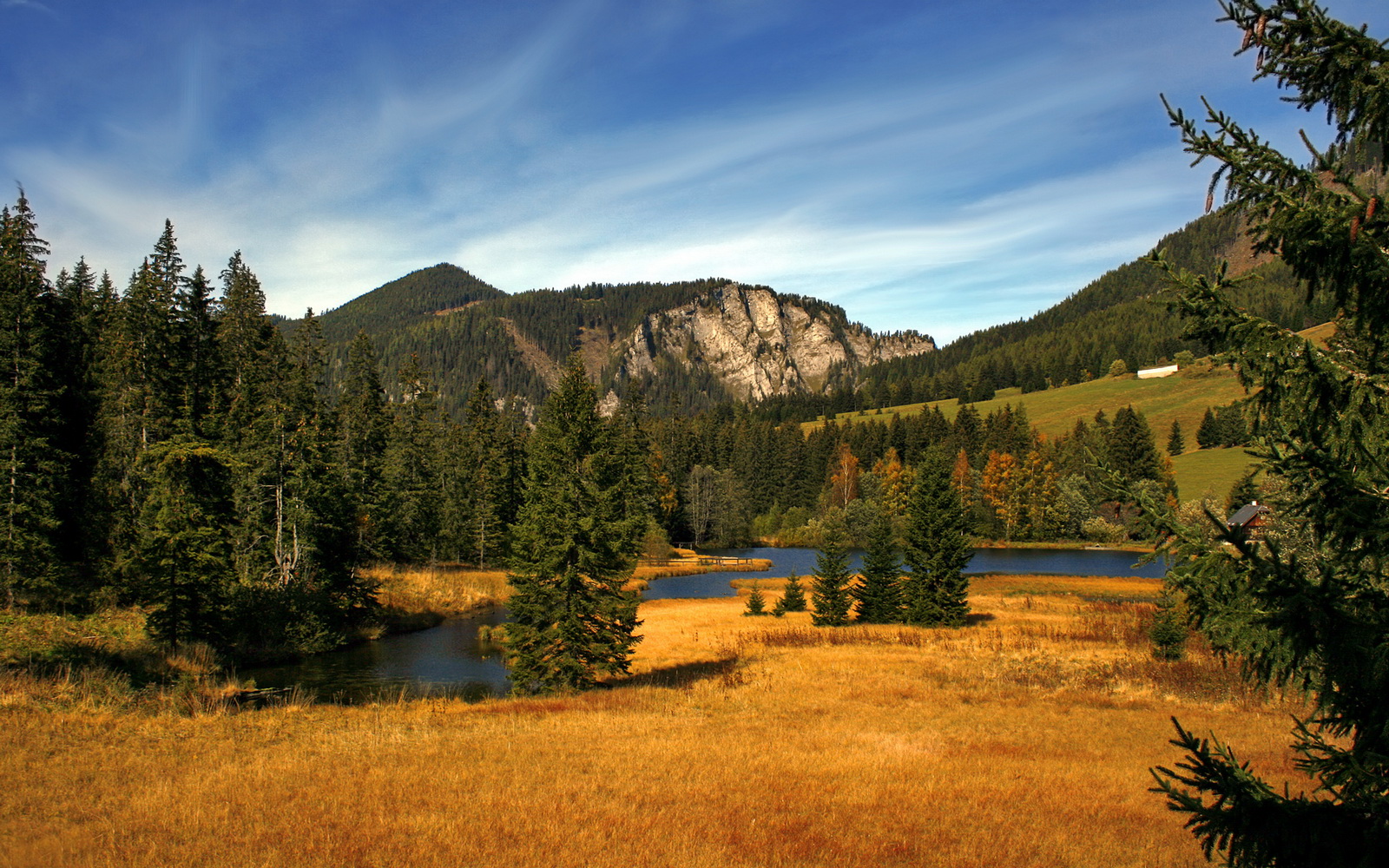 中国足球比赛胜率统计,中国足球胜率多少