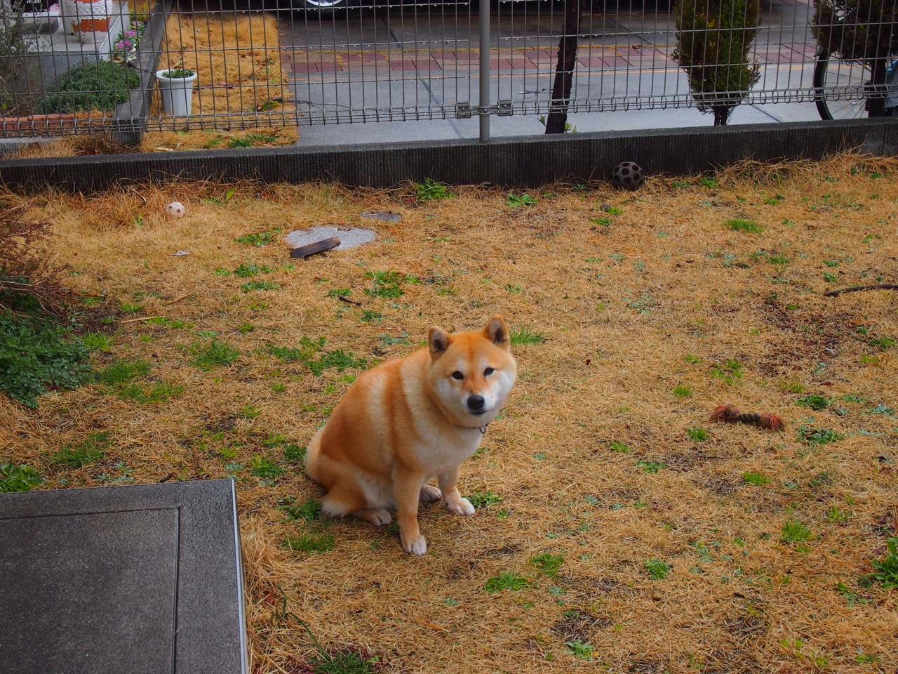 中国足球比赛节奏对比分析,中国足球比赛进程