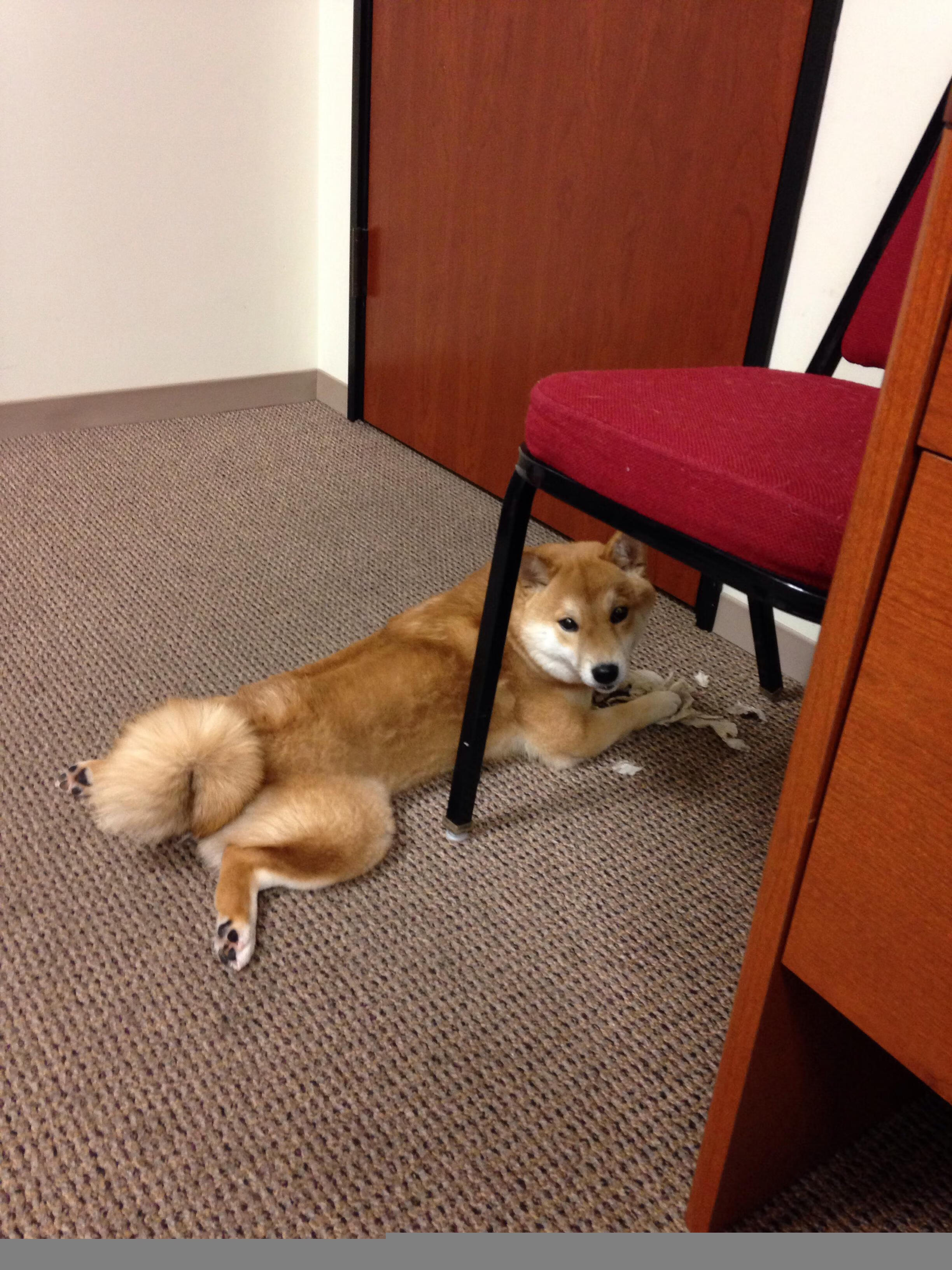 华体会app登入-中国足球球员年度成长轨迹回顾报告，中国足球球员数据