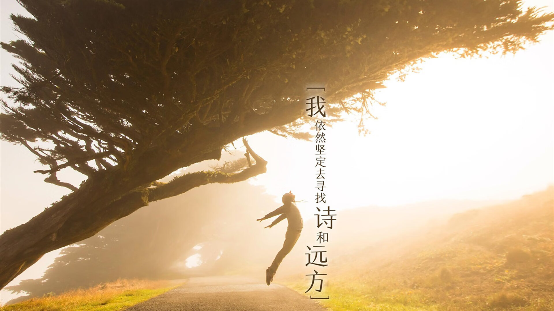 篮球运动员心理适应性训练与比赛表现关系,篮球运动员的心理素质训练应把重点放在