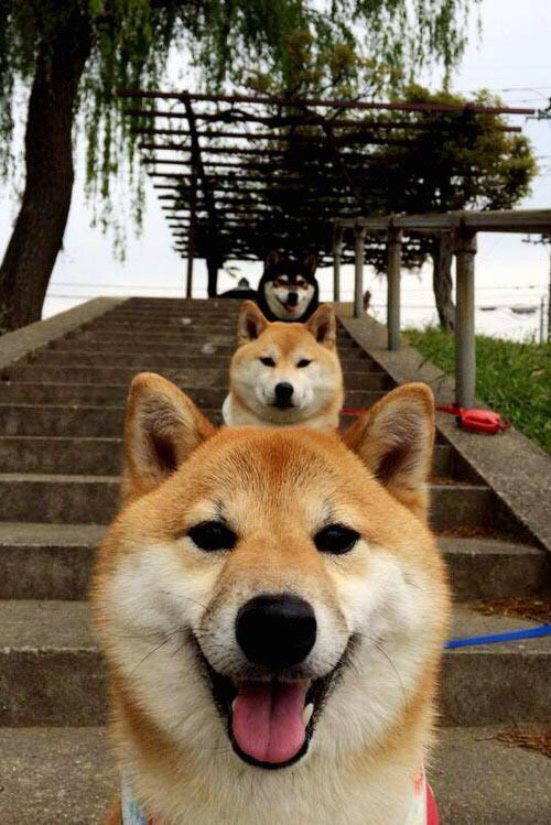 “简阳文体中心羽毛球赛事：技术高超选手争锋决胜”