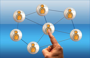 华体会平台-体育新闻中心联合高校开展体育传媒创新创业大赛，体育产业创新创业大赛