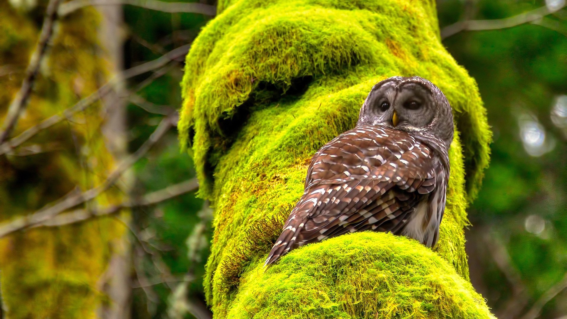天府新区迎来年度湖滨赛事盛典,变形计十七季主人公