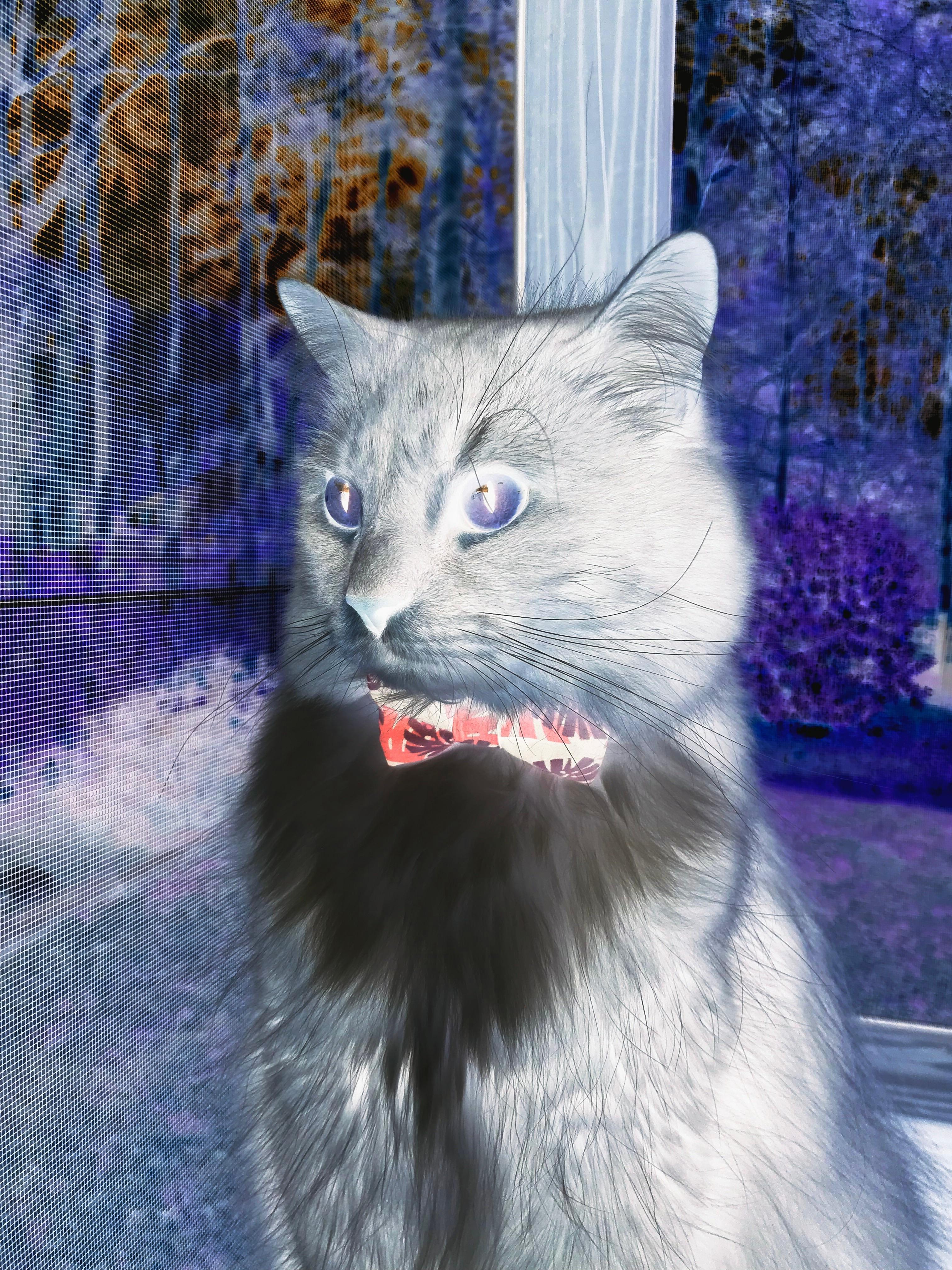 新赛季五大联赛伤病情况对战力的影响,五大联赛伤病名单