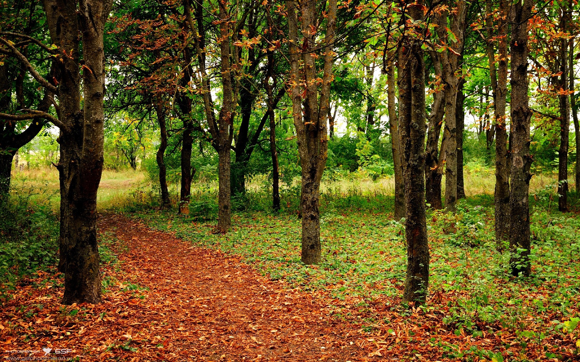 朗斯连续抢断破坏对方中场组织