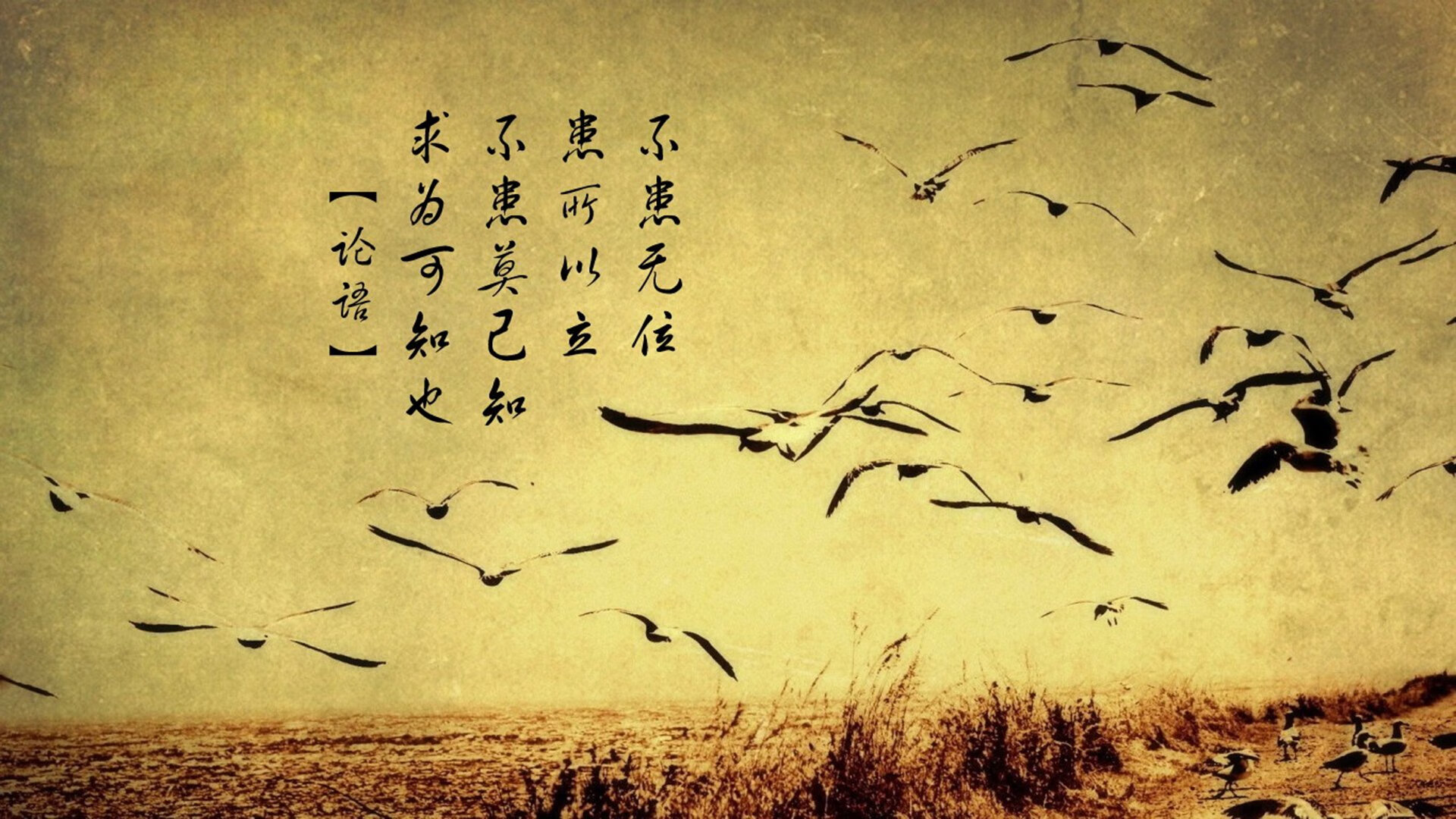 青训设施投入不足,青训设施投入不足原因分析