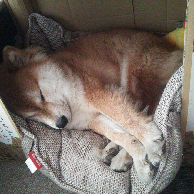 世界杯绝妙瞬间:经典片段珍藏一生!,世界杯经典视频