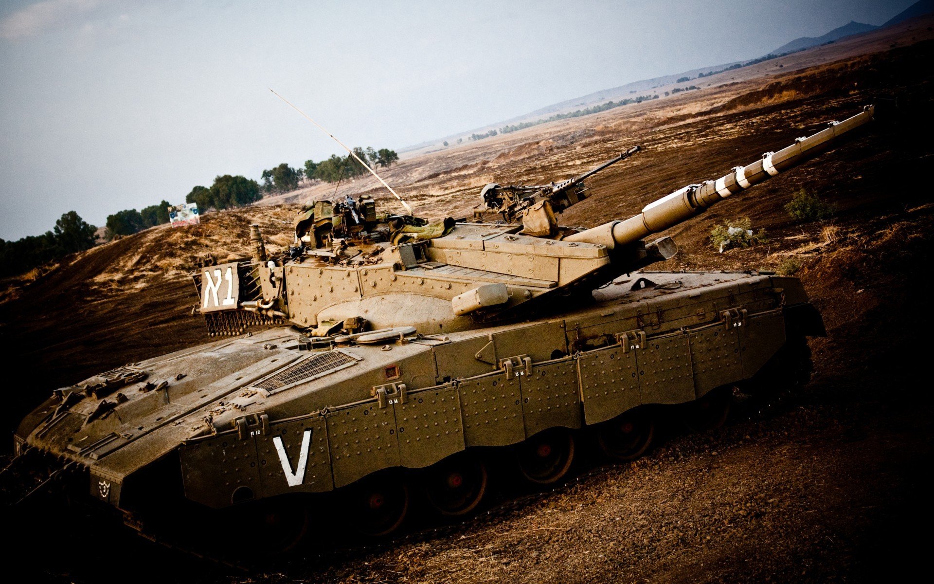 美洲杯明星闪耀:斗志激昂,精彩不断!,美洲杯原名