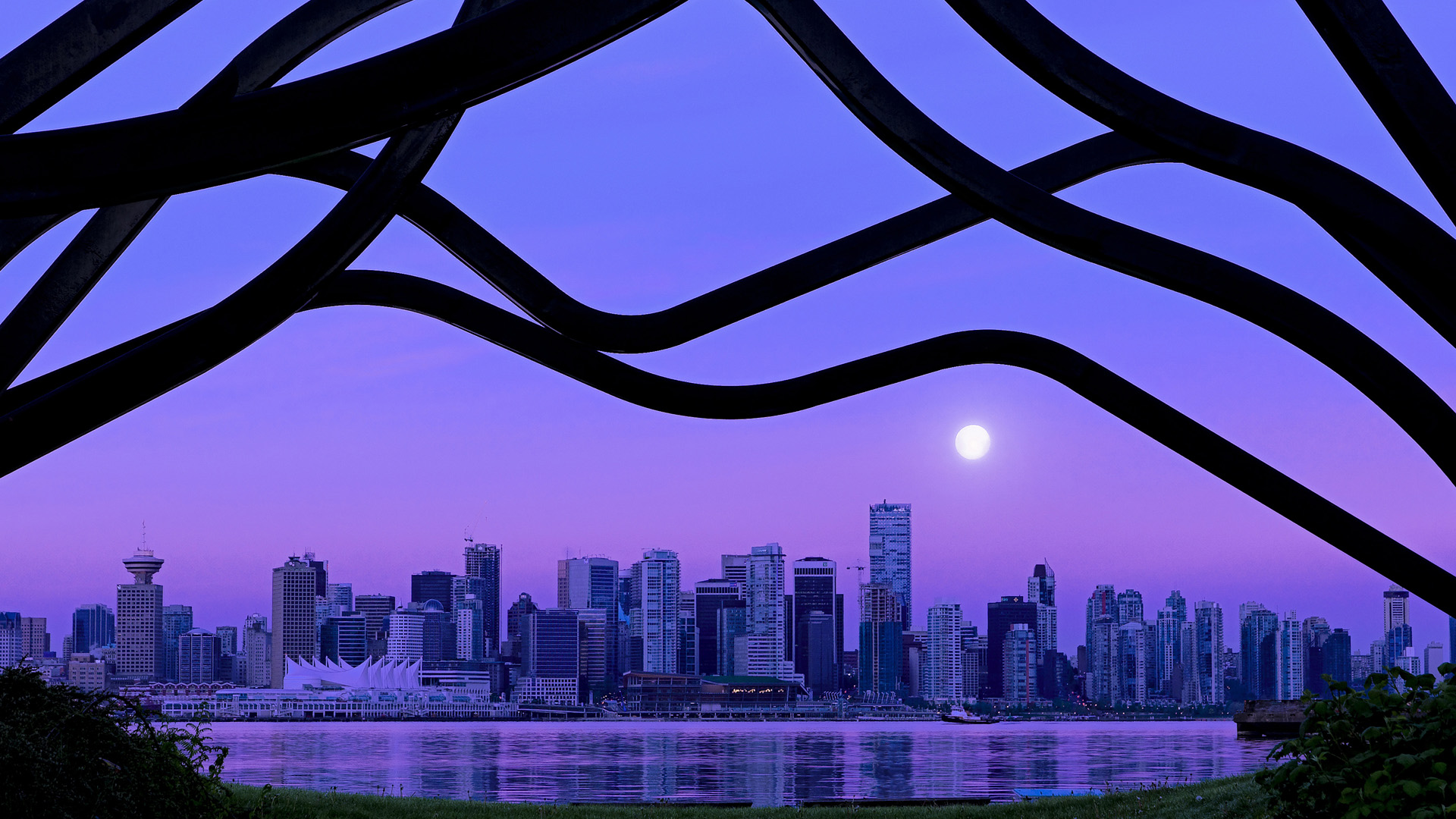 自由泳接力摩纳哥表现抢眼,200自由泳接力视频